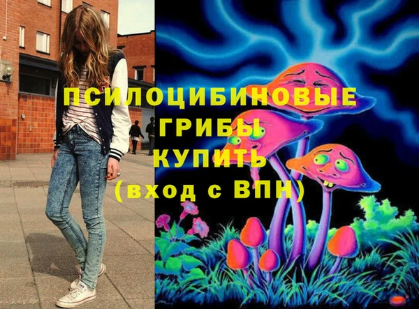 бошки Горняк