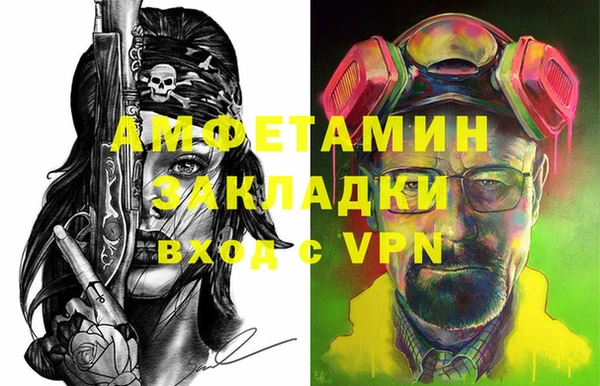 молекула духа Козельск
