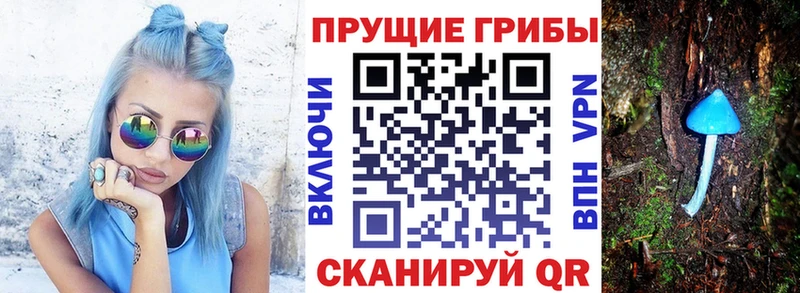 Псилоцибиновые грибы Cubensis  Кирсанов 